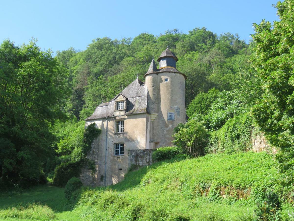 Château de Gaubert Bed & Breakfast Terrasson Exterior foto