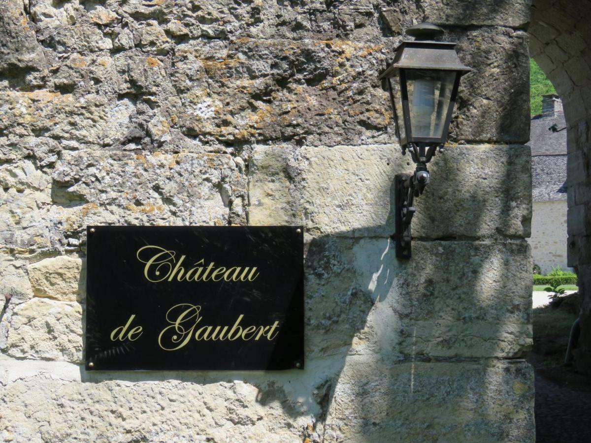 Château de Gaubert Bed & Breakfast Terrasson Exterior foto